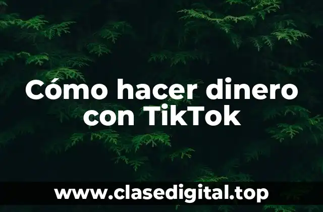 Cómo hacer dinero con TikTok