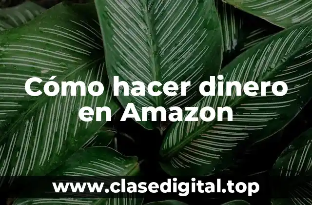 Cómo hacer dinero en Amazon