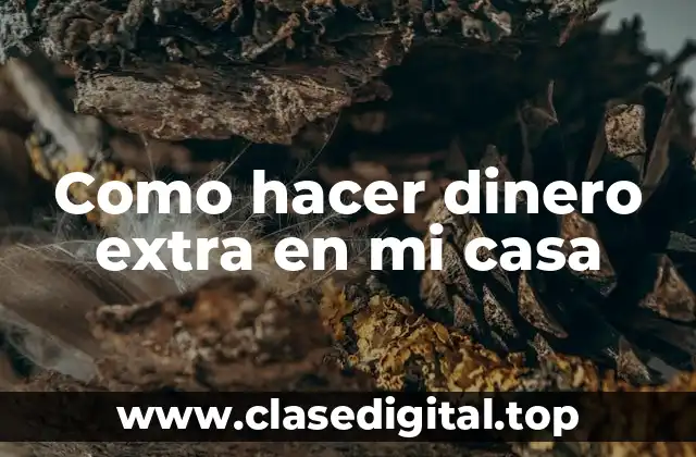 Como hacer dinero extra en mi casa