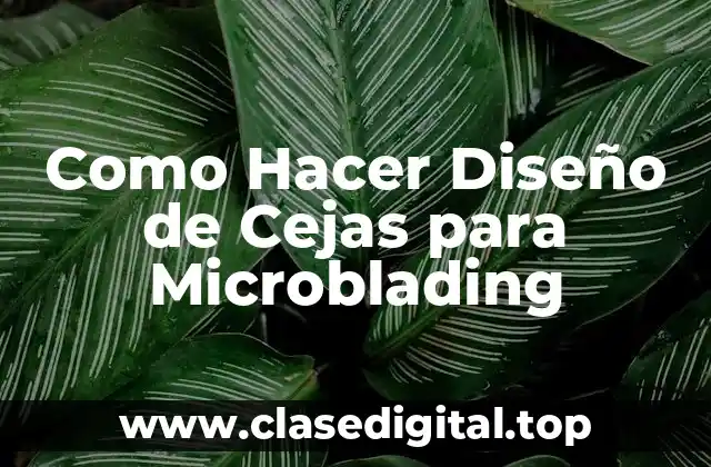 Como Hacer Diseño de Cejas para Microblading