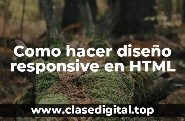 Como hacer diseño responsive en HTML