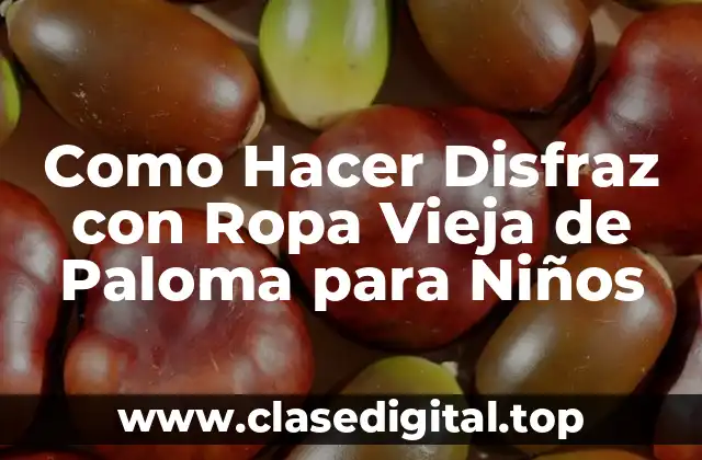 Como Hacer Disfraz con Ropa Vieja de Paloma para Niños