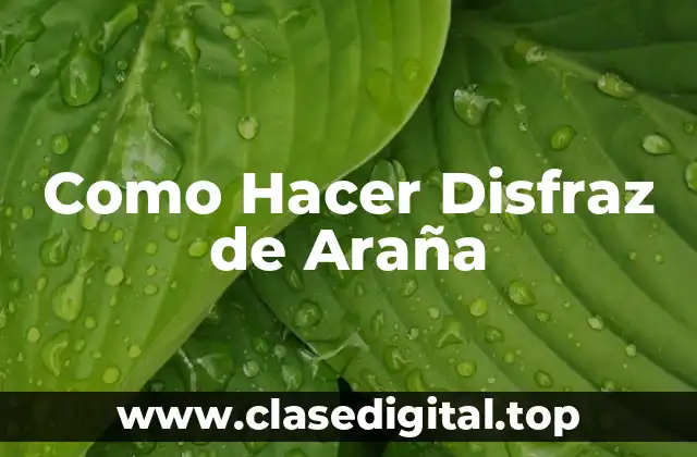 Como Hacer Disfraz de Araña