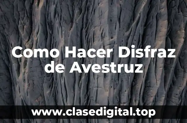 Como Hacer Disfraz de Avestruz