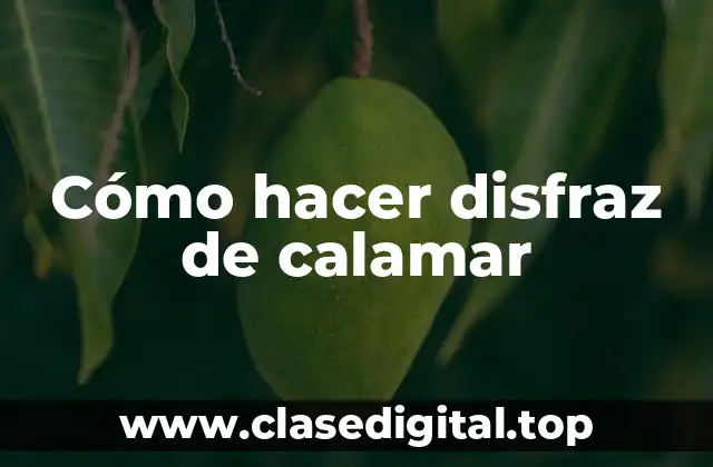 ¿Qué es un disfraz de calamar y para qué sirve?