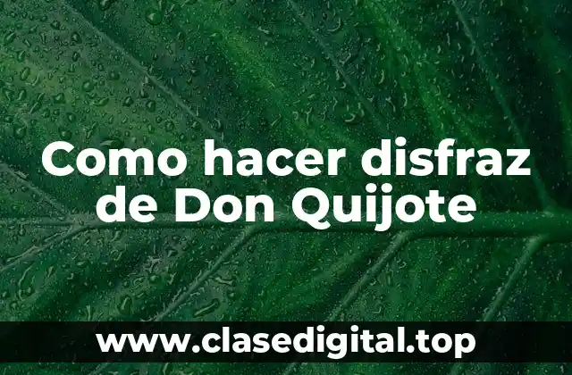 Como hacer disfraz de Don Quijote