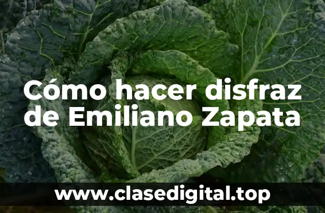 Cómo hacer disfraz de Emiliano Zapata