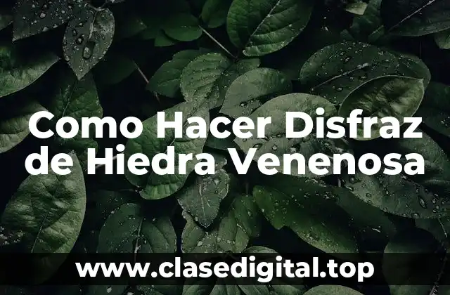 Como Hacer Disfraz de Hiedra Venenosa