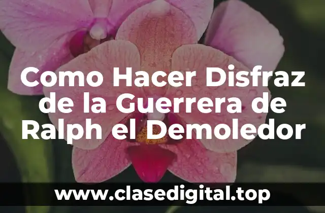 Como Hacer Disfraz de la Guerrera de Ralph el Demoledor