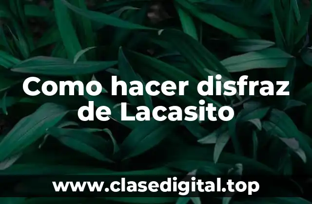 Como hacer disfraz de Lacasito