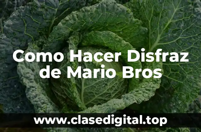 Como Hacer Disfraz de Mario Bros