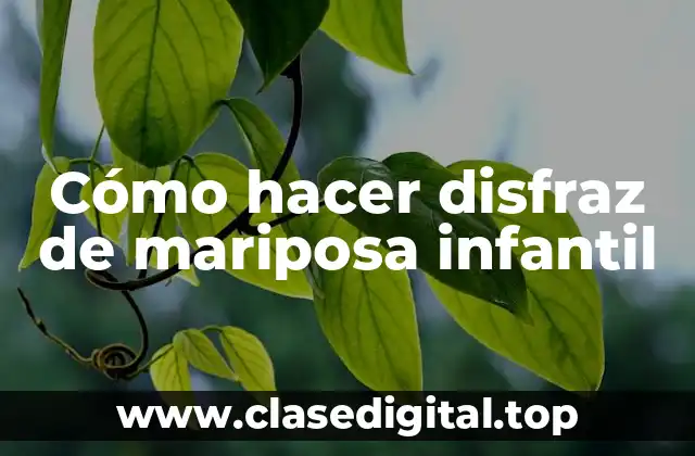 Cómo hacer disfraz de mariposa infantil