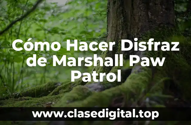 Cómo Hacer Disfraz de Marshall Paw Patrol