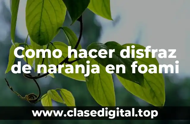 Como hacer disfraz de naranja en foami
