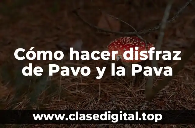 Cómo hacer disfraz de Pavo y la Pava