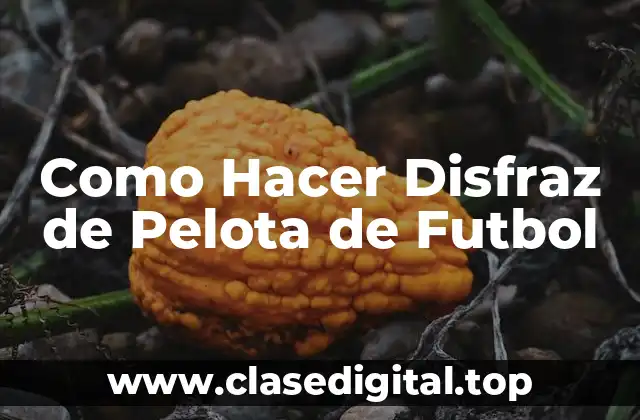 ¿Qué es un Disfraz de Pelota de Futbol?
