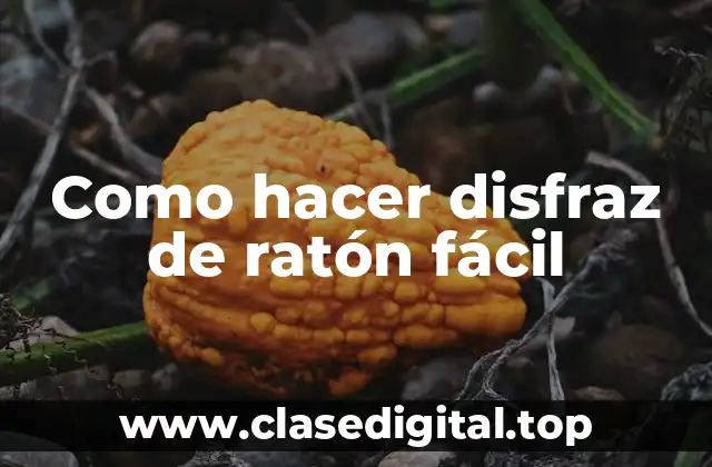 Como hacer disfraz de ratón fácil