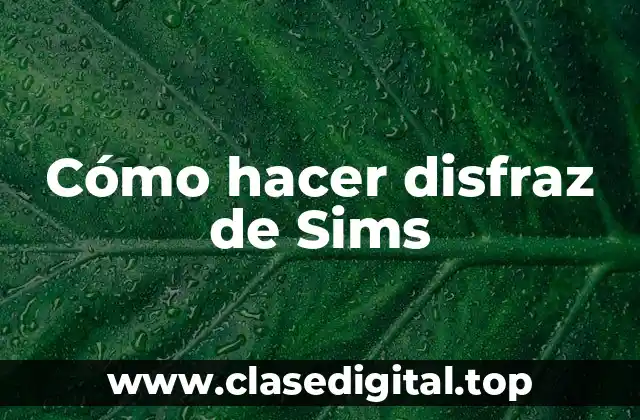¿Qué es un disfraz de Sims?