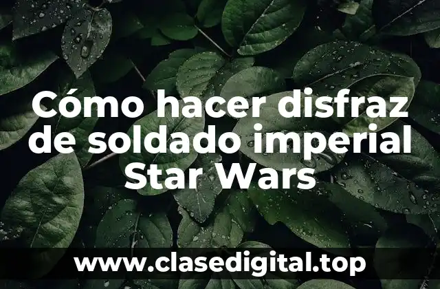 Cómo hacer disfraz de soldado imperial Star Wars