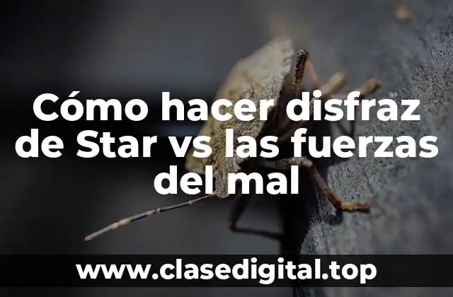 Cómo hacer disfraz de Star vs las fuerzas del mal
