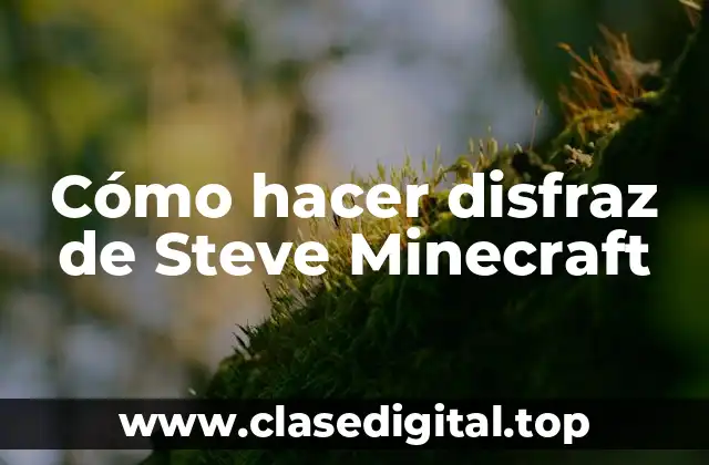 Cómo hacer disfraz de Steve Minecraft