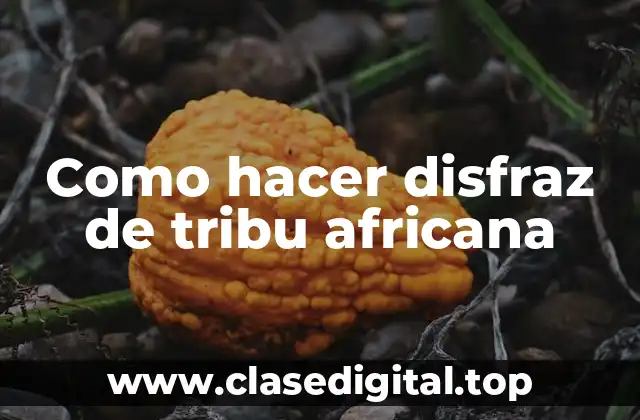 ¿Qué es un disfraz de tribu africana?