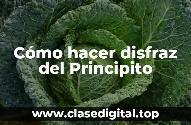 Cómo hacer disfraz del Principito