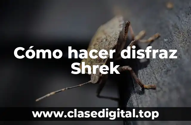 Cómo hacer disfraz Shrek