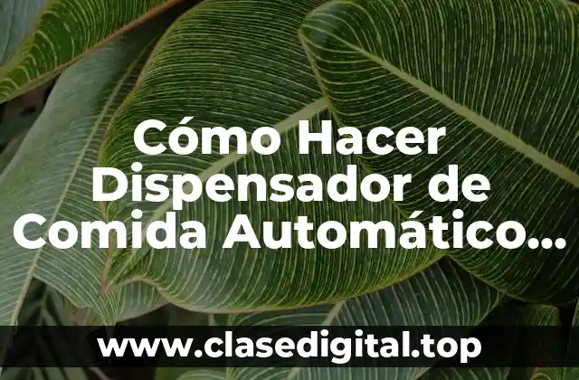 Cómo Hacer Dispensador de Comida Automático para Perros