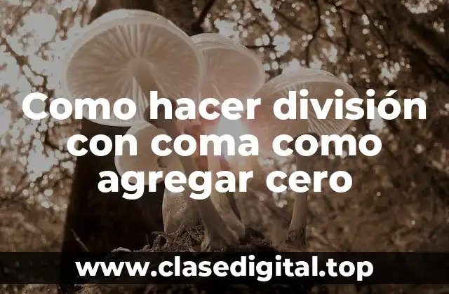 División con coma como agregar cero