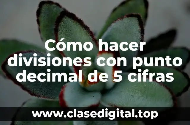 Cómo hacer divisiones con punto decimal de 5 cifras