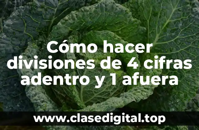 Cómo hacer divisiones de 4 cifras adentro y 1 afuera