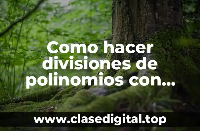 Como hacer divisiones de polinomios con fracciones