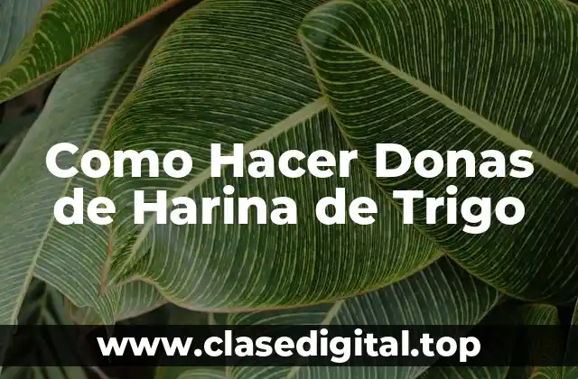 Como Hacer Donas de Harina de Trigo