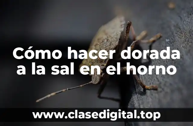 Cómo hacer dorada a la sal en el horno