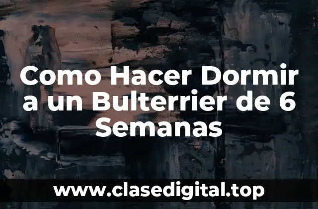 ¿Qué es un Bulterrier de 6 Semanas y Cómo Se Usa?