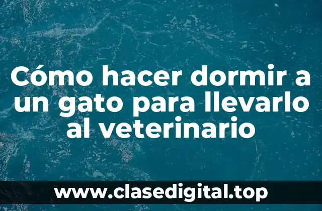 Cómo hacer dormir a un gato para llevarlo al veterinario