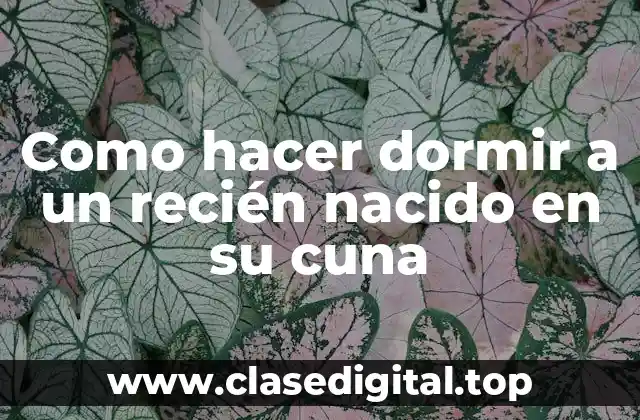 Como hacer dormir a un recién nacido en su cuna