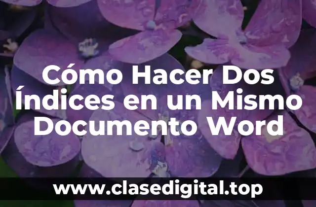 Cómo Hacer Dos Índices en un Mismo Documento Word