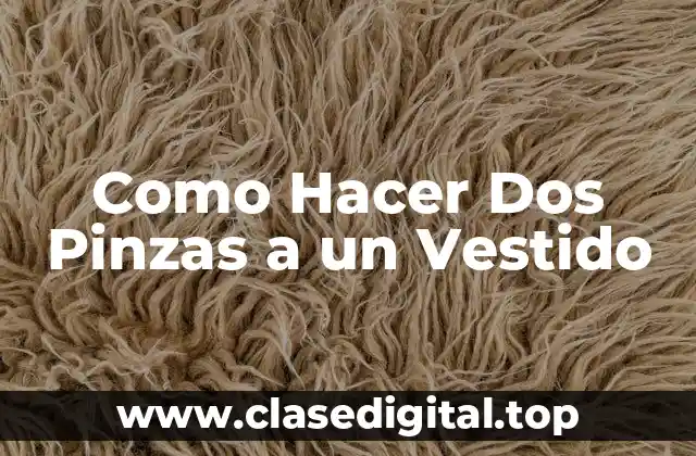 Como Hacer Dos Pinzas a un Vestido