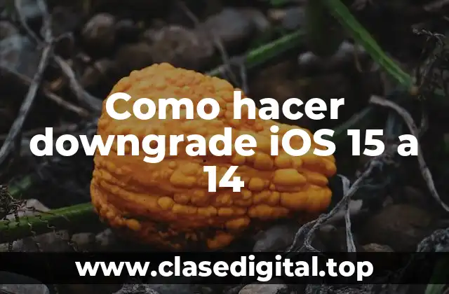 Como hacer downgrade iOS 15 a 14