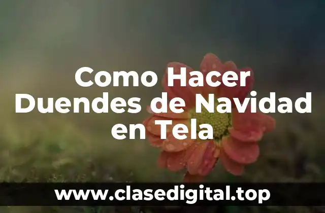 Como Hacer Duendes de Navidad en Tela