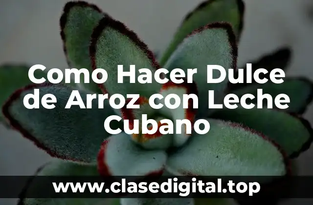 ¿Qué es el Dulce de Arroz con Leche Cubano?