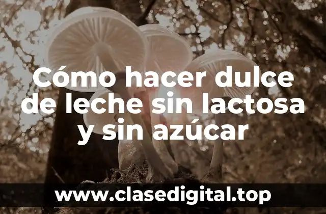 Cómo hacer dulce de leche sin lactosa y sin azúcar