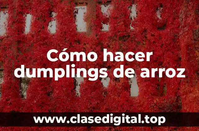 Cómo hacer dumplings de arroz