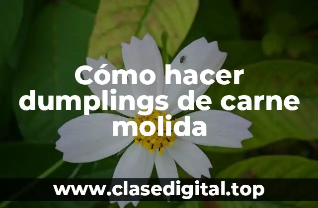 Cómo hacer dumplings de carne molida