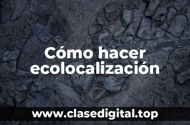 Cómo hacer ecolocalización