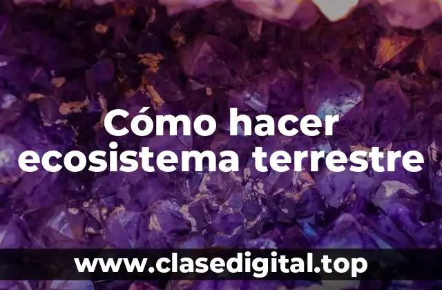 Cómo hacer ecosistema terrestre