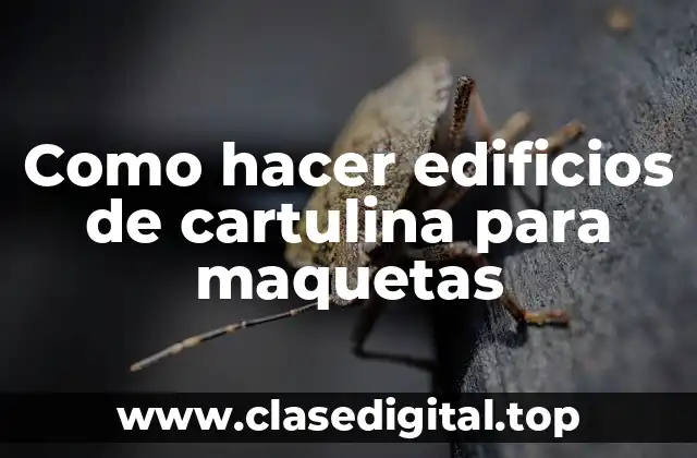Cartulina para edificios de maquetas