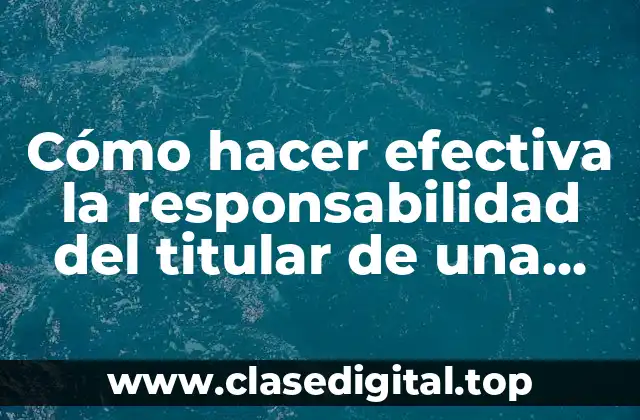 Cómo hacer efectiva la responsabilidad del titular de una workload